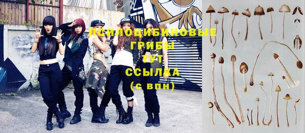 2c-b Абаза