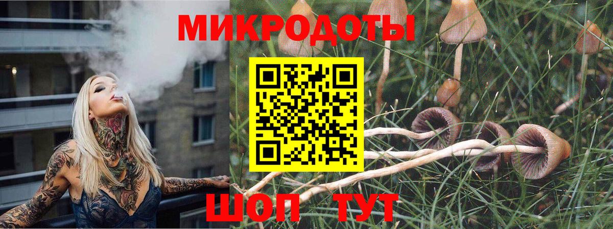 Псилоцибиновые грибы мухоморы Заволжье