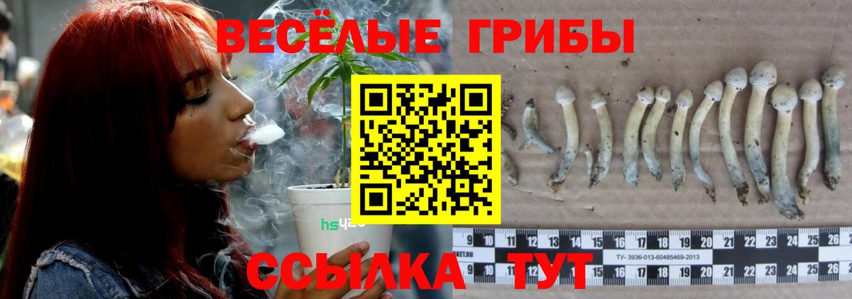 Галлюциногенные грибы Cubensis  Псилоцибиновые грибы мицелий  Вход с VPN  Заволжье 